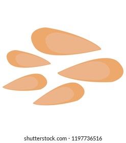Pine nuts, a healthy dried fruit 