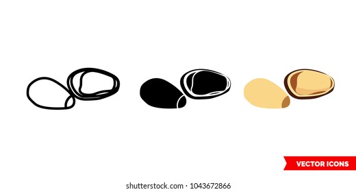 Pine nuts icon of 3 types: color, black and white, outline. Isolated vector sign symbol.