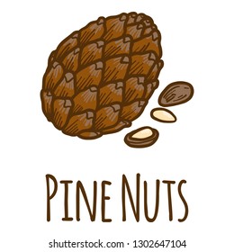 Pine nuts icon. Hand drawn illustration of pine nuts vector icon for web design