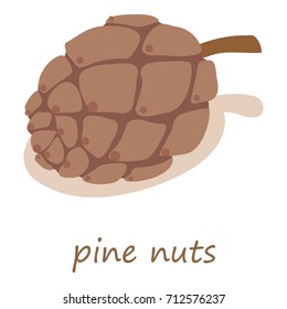 Pine nuts icon. Isometric illustration of pine nuts vector icon for web