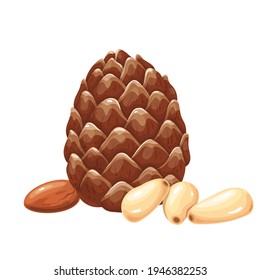 Pine nuts with leafs. Vegetarian food or snack vector illustration.