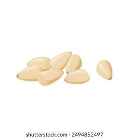 Pine Nuts. Raw and Healthy Snacks for a Healthy Life.