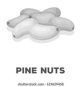 Pine nuts.Different kinds of nuts single icon in monochrome style vector symbol stock illustration.