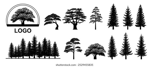 Pine and oak tree silhouette. Set of icons with black figures of spruce, pine, wild forest trees and woodland. Design Element for Logo. Flat vector illustration collection isolated on white background