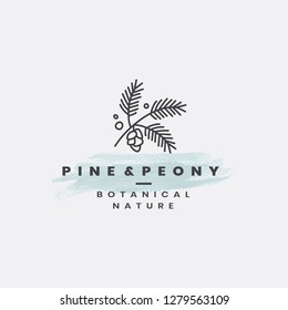 Pine and peony botanical nature vector