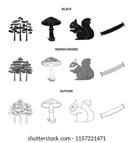 Pine, poisonous mushroom, tree, squirrel, saw.Forest set collection icons in black,monochrome,outline style vector symbol stock illustration web.