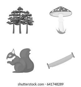 Pine, poisonous mushroom, tree, squirrel, saw.Forest set collection icons in monochrome style vector symbol stock illustration web.
