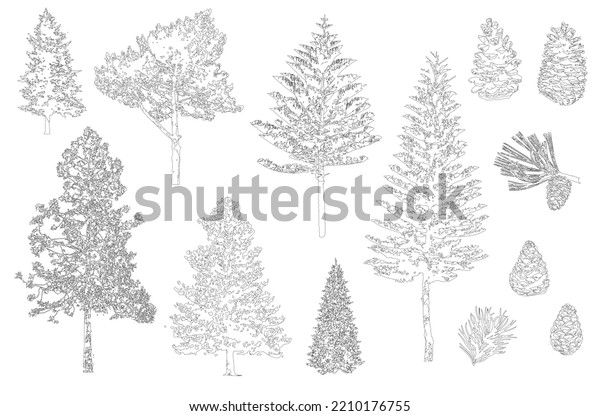 Pine Set Minimal Style Cad Tree Stock Vector (Royalty Free) 2210176755 ...