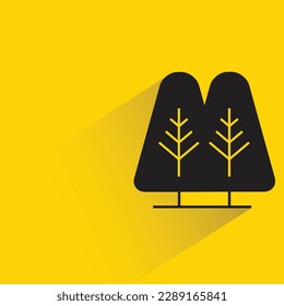 pine with shadow on yellow background