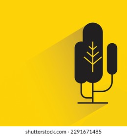 pine with shadow on yellow background