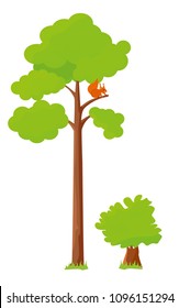 Pine and shrub isolated on white background. Vector flat cartoon design illustration