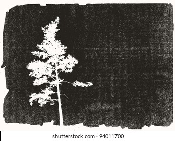 pine silhouette on grunge background, vector illustration