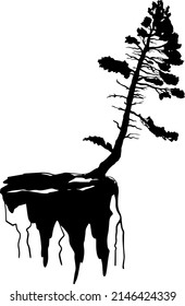 Silueta de pino. Silhouette de árbol. Ilustración plana. Vector.
