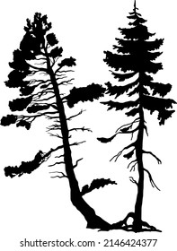 Silueta de pino. Silhouette de árbol. Ilustración plana. Vector.