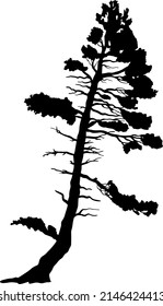 Pine silhouette. Tree silhouette. Flat illustration. Vector.