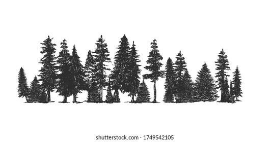 Lodgepole Pine Trees Images, Stock Photos & Vectors | Shutterstock
