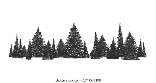 Illustration Black Forest Isolated On White Stock Vector (Royalty Free ...