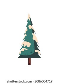 pine with snow over white
