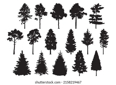 Pine, spruce. Black and white silhouette isolated. Template for plotter lazer cutting and print.