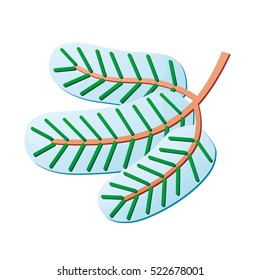 Pine or spruce Christmas tree branch icon isolated. Winter holidays design element.