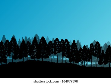 Pine and spruce tree forest silhouettes natural wild landscape detailed illustration background vector