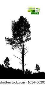 Pine standing alone. Vector