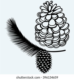 Pine strobile. Isolated on blue background. Vector silhouettes