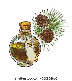 Pine tar in a bottle with branch. Watercolor imitation with sketch. Vector illustration.