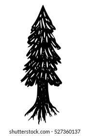 Pine tree
