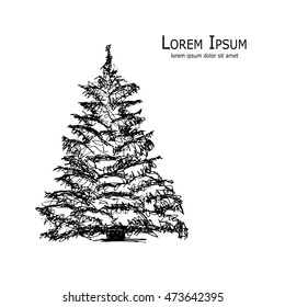 Pine tree, art sketch for your design