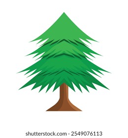 a pine tree for background for christmas  Forest etc