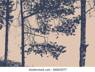 pine tree, birch and branches silhouette. detailed vector illustration 