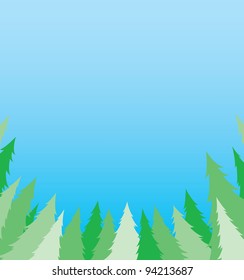 Pine tree and blue sky