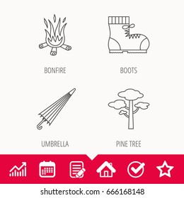 Pine tree, bonfire and hiking boots icons. Umbrella linear sign. Edit document, Calendar and Graph chart signs. Star, Check and House web icons. Vector
