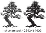 pine tree. bonsai. hand drawn illustration.