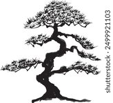 pine tree. bonsai. hand drawn illustration.