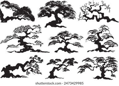 pine tree. bonsai. hand drawn illustration.