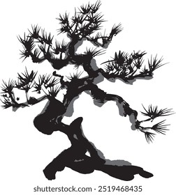 pine tree. bonsai. hand drawn illustration.