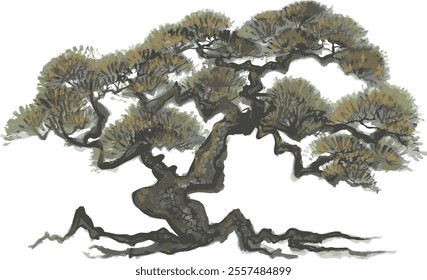 pine tree. bonsai. hand drawn illustration.