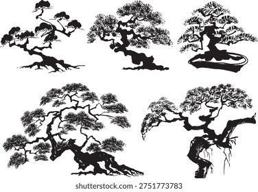 pine tree. bonsai. hand drawn illustration.