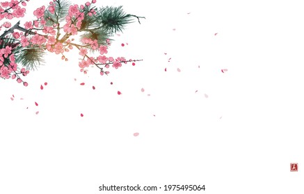 Pine tree branch and blossoming sakura tree on white background. Traditional oriental ink painting sumi-e, u-sin, go-hua. Hieroglyph - beauty.