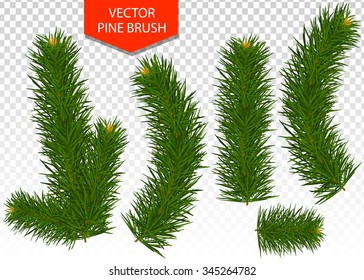 Pine Tree Branch Brush On Transparent Background. Element For Christmas Or New Year Design