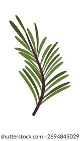 Pine tree branch Christmas element
