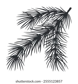 Pine tree branch. Christmas traditional plant. Fir twig with needles. Vector graphic illustration. Winter holiday background for home interior. Festive clipart for a postcard, winow, print, packaging.
