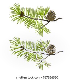 Pine tree Branch and pine cone autumnal and winter snowy vintage  natural background vector illustration editable hand drawn