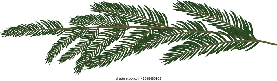Una rama de pino con hojas de aguja detalladas en un estilo realista. La rama está representada con un follaje intrincado y líneas finas. Ilustración vectorial de dibujos animados.