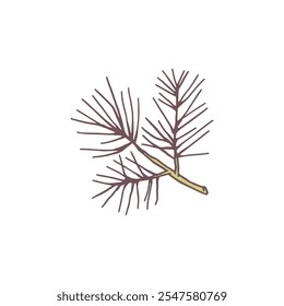 Pine tree branch flat icon. Fir evergreen plant, cedar twig. Christmas wood holiday decoration. Natural coniferous forest fragrance, spruce aromatic, woody flavoring