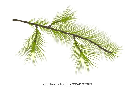 Pine tree branch. Green lush spruce branch. Fir branch in flat style isolated on white background. Illustration of christmas tree, pine or green fir for Xmas cards, New year party posters. Vector
