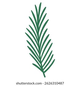 Branche de pin dans un style dessiné à la main. Décoration simple de branche d'épicéa de dessin animé pour cadres de Noël et couronnes. Nature ornementale. Symbole de sapin mignon. Fêtes rameau plat vert