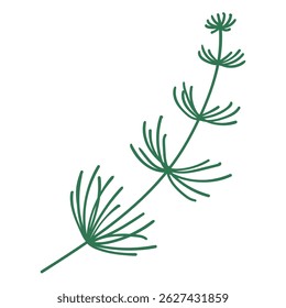 Branche de pin dans un style dessiné à la main. Décoration de branche d'épicéa pour cadres de Noël et couronnes. Nature ornementale. Symbole sapin. Fêtes rameau plat vert.